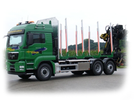 LKW mit Rungen